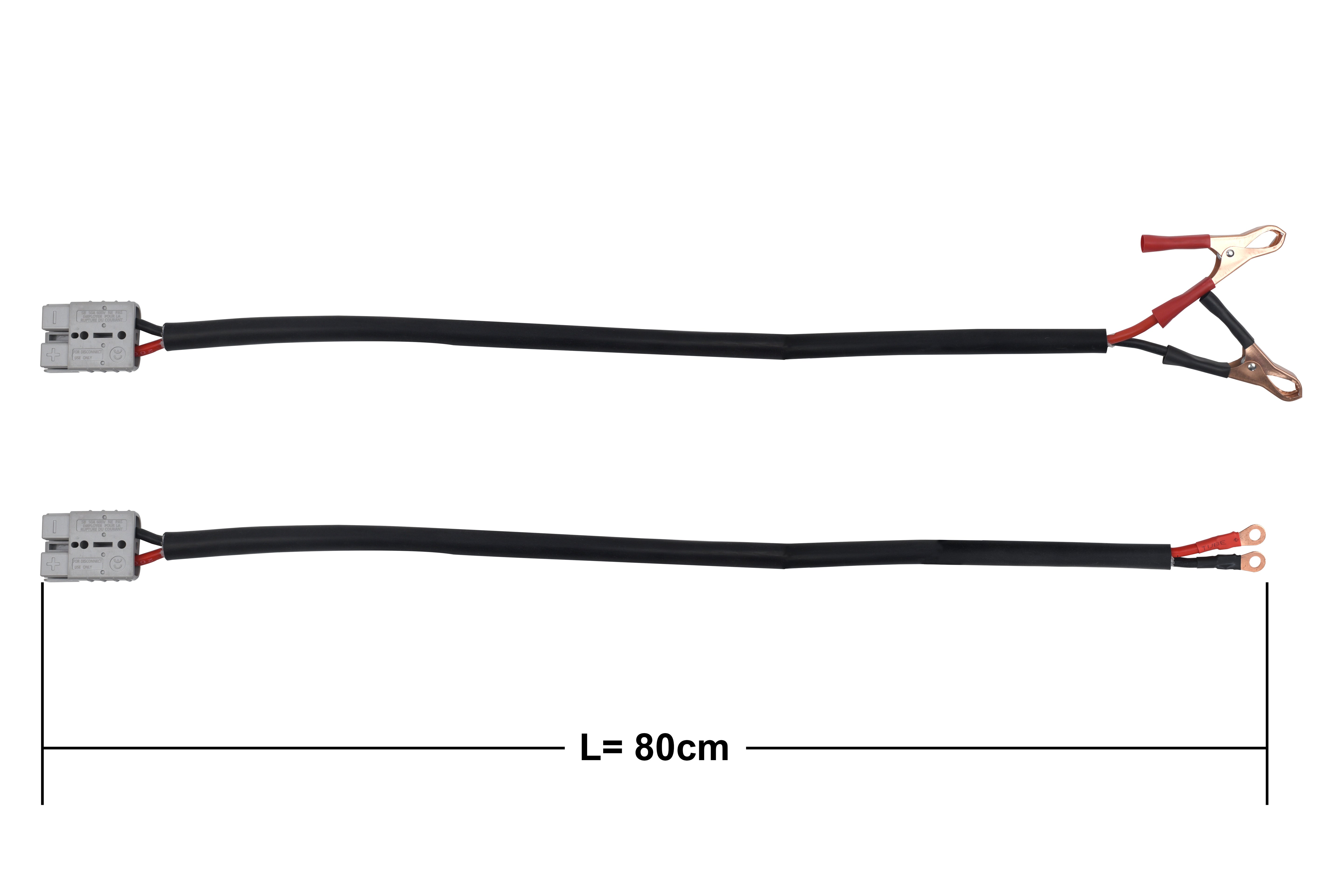 12V 30A Battery Charger