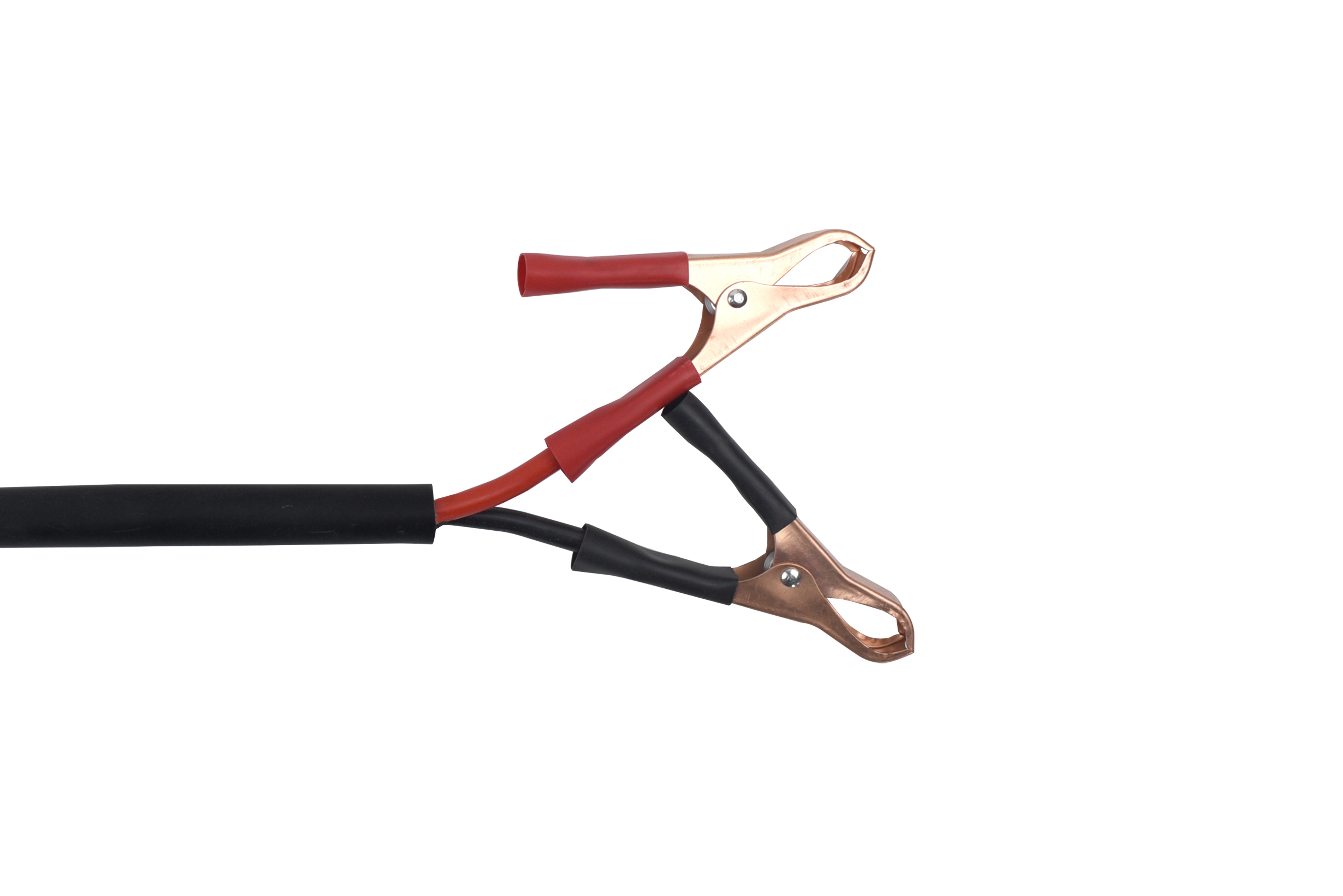 12V 40A Battery Charger