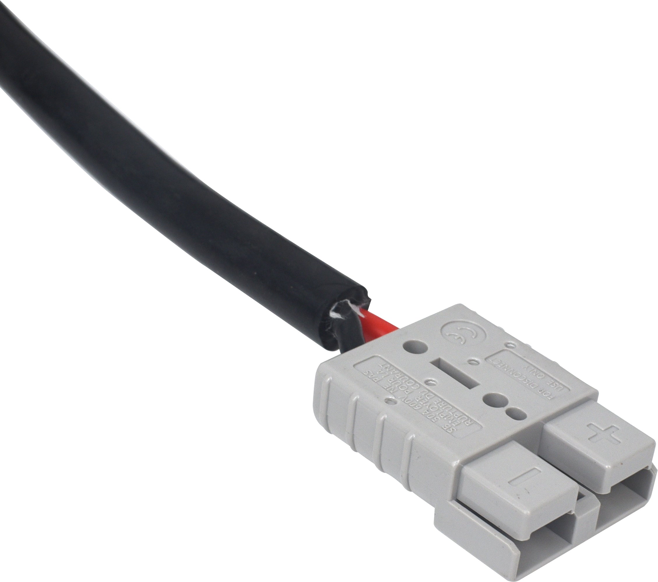 12V 20A Battery Charger