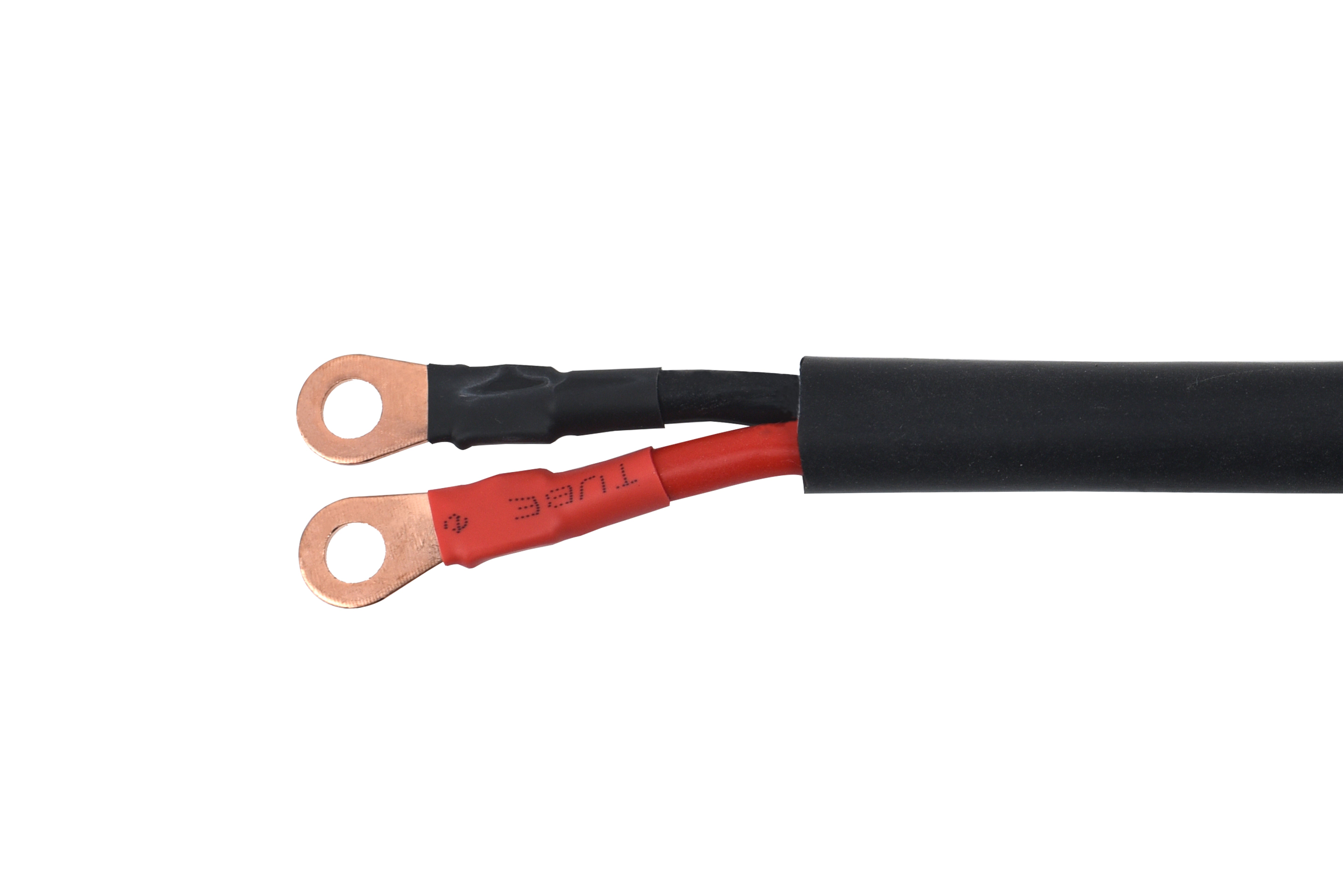 12V 40A Battery Charger